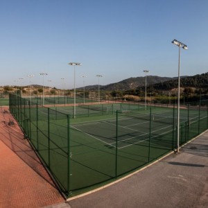 Tenis